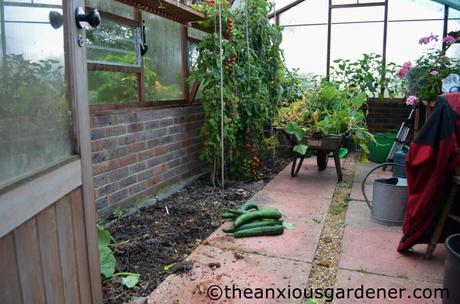Greenhouse Maintenance