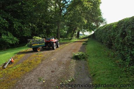 Cutting The Mixed Hedging