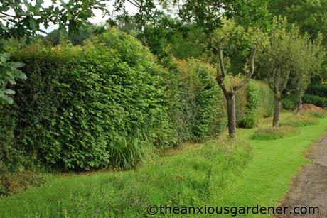 Cutting The Mixed Hedging