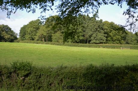 Cutting The Mixed Hedging