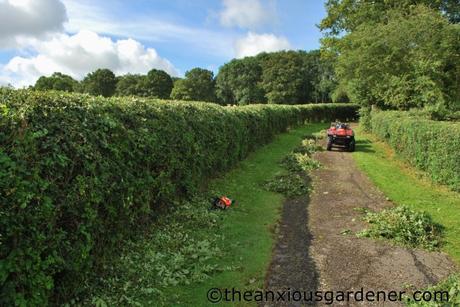 Cutting The Mixed Hedging