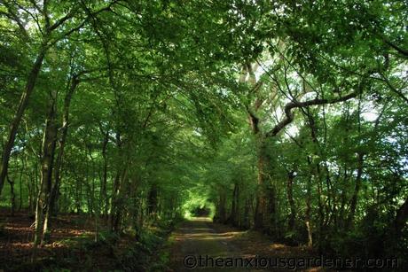 Cutting The Mixed Hedging