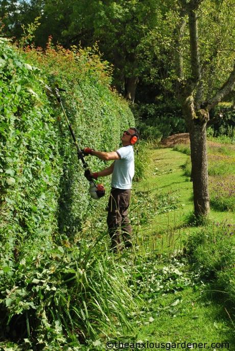 Cutting The Mixed Hedging