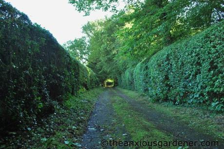 Cutting The Mixed Hedging