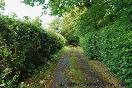 Cutting The Mixed Hedging
