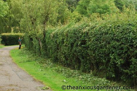 Cutting The Mixed Hedging