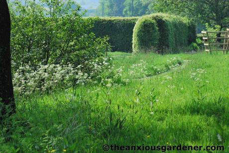 The Fox And The Duck