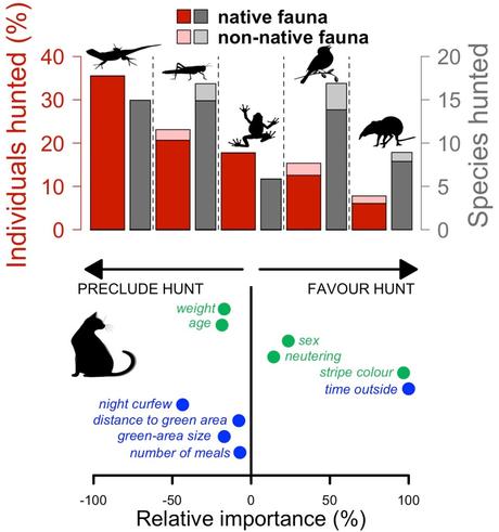 Our pets are predators
