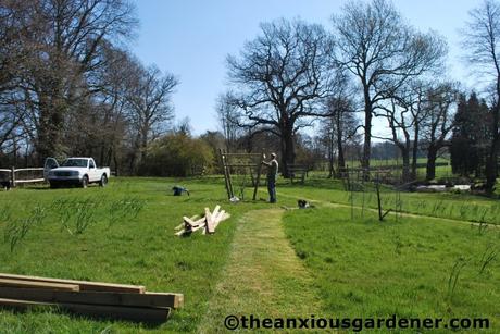 Tending Trees Part 2