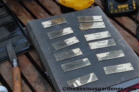 Tending Trees Part 2