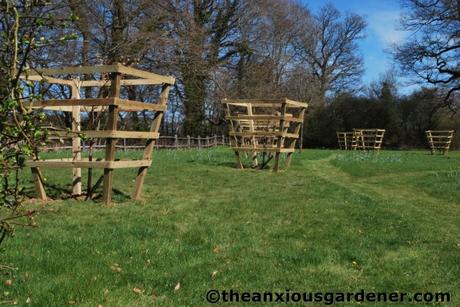 Tending Trees Part 2