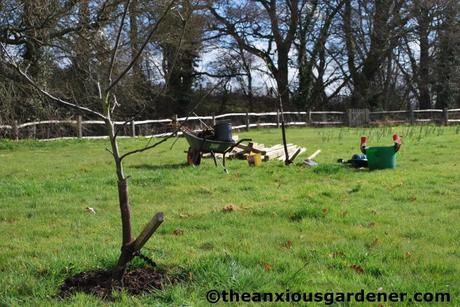 Tending Trees Part 2