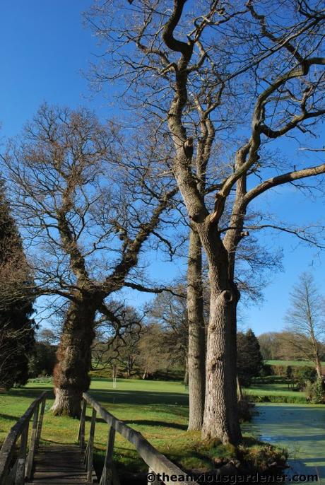 Tending Trees Part 1