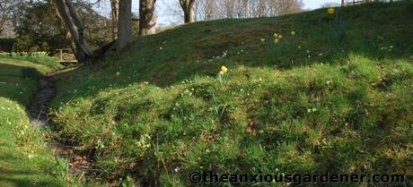 Wild Places, Wild Flowers