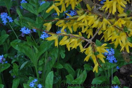 Wild Places, Wild Flowers