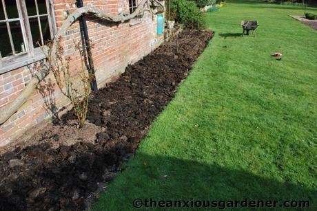 Planning for the Tropical Border