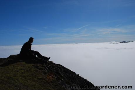 Cloud Walking In The Lake District