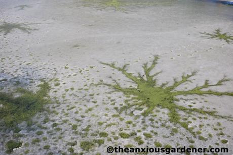 Snow Over The Priory