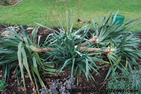 Snow Over The Priory