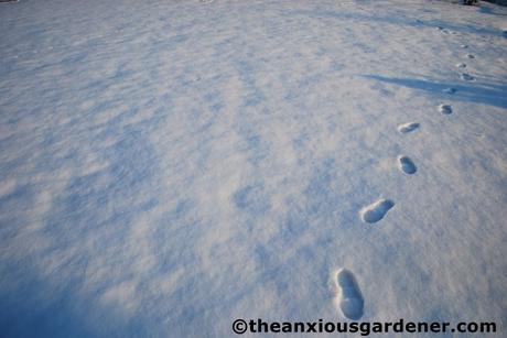Snow Over The Priory