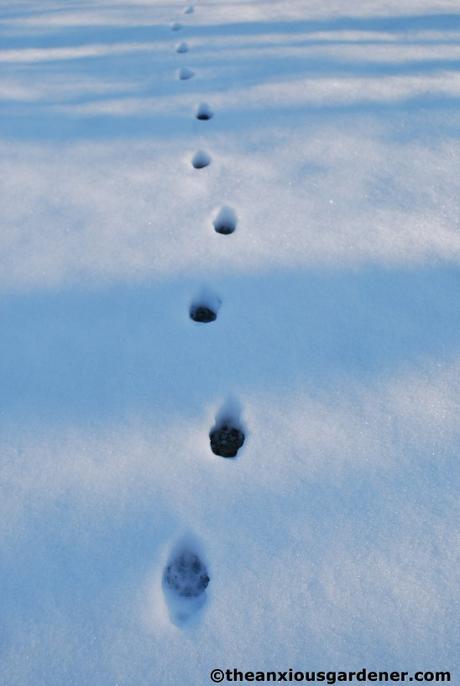 Snow Over The Priory