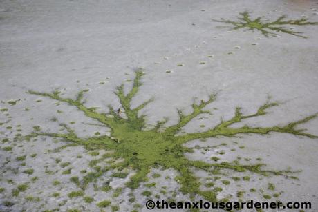 Snow Over The Priory
