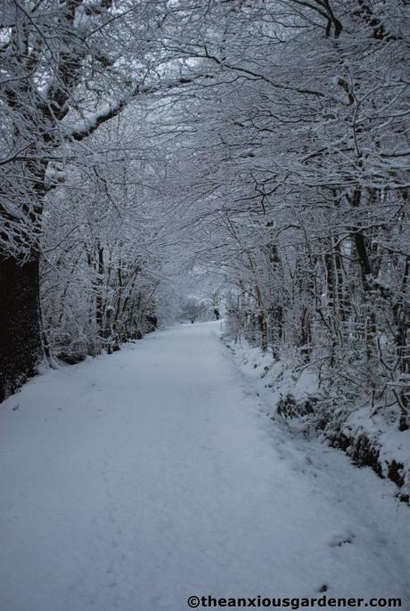 Snow Over The Priory