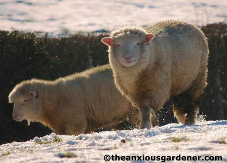 Snow Over The Priory