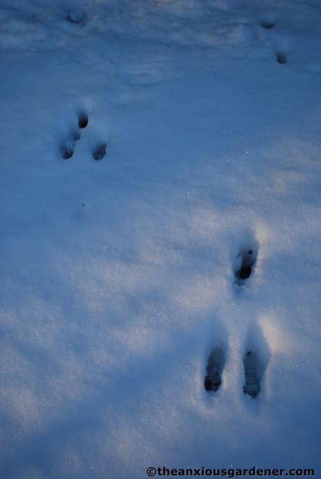 Snow Over The Priory