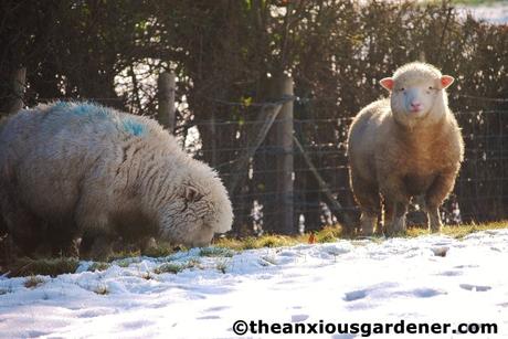 Snow Over The Priory