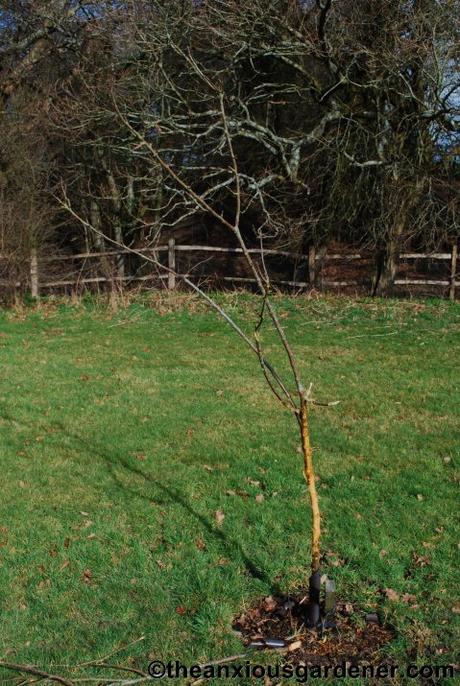 Do Not Tempt Fate …