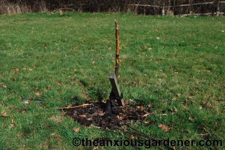 Do Not Tempt Fate …