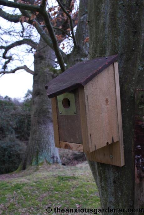 Beaky and the Nest Boxes