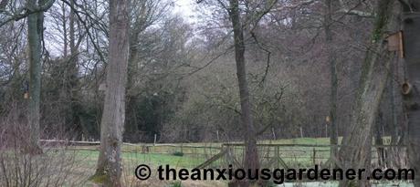 Beaky and the Nest Boxes