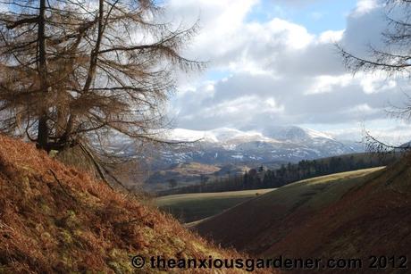 I Am Just Going Outside …