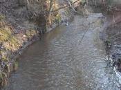 River Runs