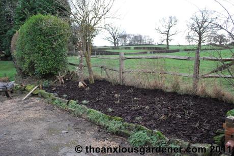 Mulching The Beds