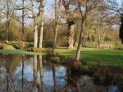 Priory Picture Post