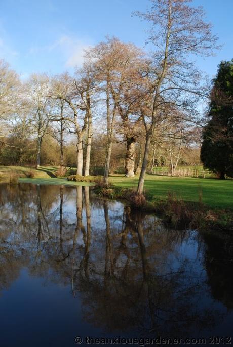 Priory Picture Post #19