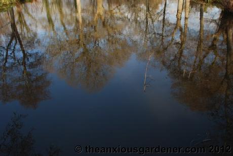 Priory Picture Post #19