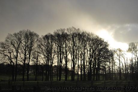 I Went And Lost My Mojo