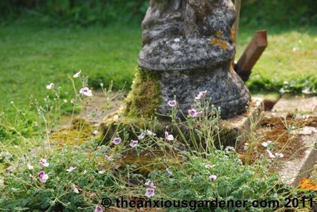 Priory Picture Post # 17