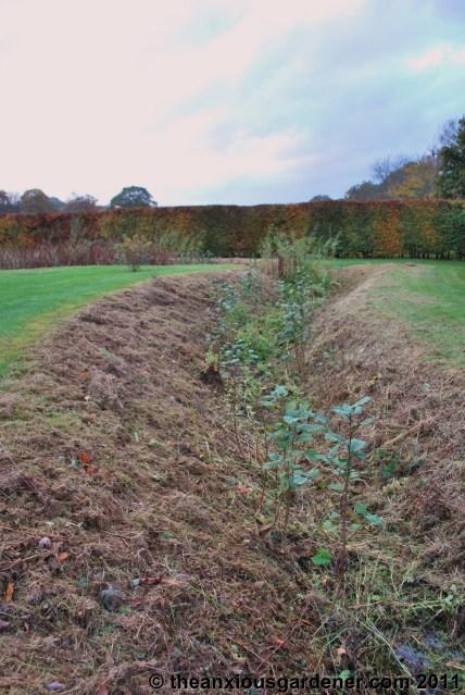 Snipping Amphibians …