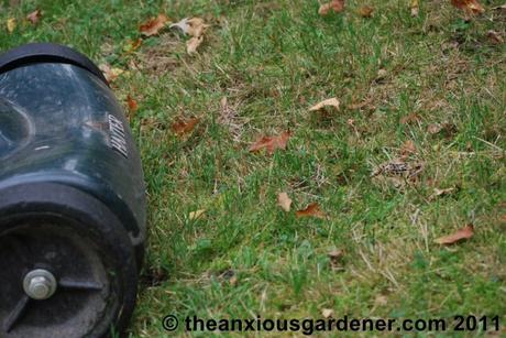 Snipping Amphibians …