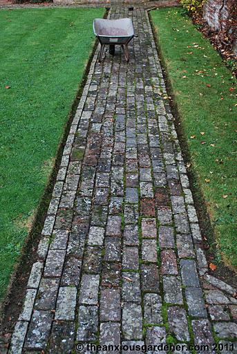 Snipping Amphibians …