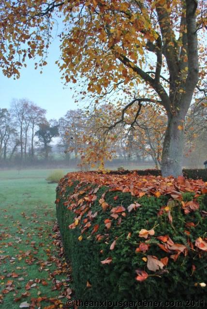 Priory Picture Post # 16