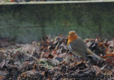 Priory Picture Post # 16