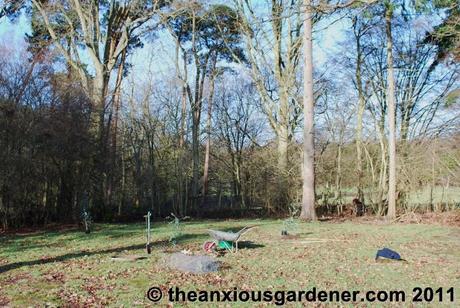 Sussex Eucalypts