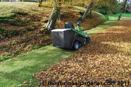 Making Leaf Mould