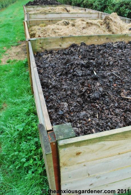 Let’s Build A Compost Bin!